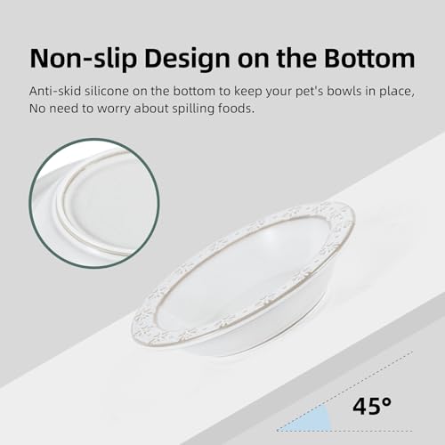 Havniva Ceramic Cat Food Bowl, 6.1" Raised Cat Bowls with Acacia Wood Stand | Elevated Cat Bowls, Whisker Friendly, Extra Wide Opening, Aesthetic Cat Dishes, Elegant Pet Bowls, Food-grade Ceramic, Kitten - color: 2 Dishes+Stand- Arctic White