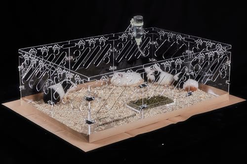 Acrylic Guinea Pig Cages - 3x2ft Small Animal Cage | DIY Extendable | Easy-to-Clean Disposable Bottom (Without Lid) - color: 2x3 ft Cage