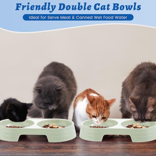 Sliner 7 Pcs Kitten Litter Box Starter Kit, 2 Plastic Small Kitty Litter Box Training Low Entry with Scoop, 2 Double Cat Bowl and Mat for Kitten Indoor(Green) - color: Green