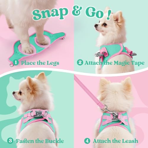 rabbitgoo Dog Harness Small Sized and Leash Set, Step in Soft Vest | Breathable Mesh, Easy Wear with Hook & Loop, Light and Reflective for Walking, Multi-colored, Teal & Pink, XXS - color: Teal & Pink, size: XXS (Chest: 12.4"-14.2")