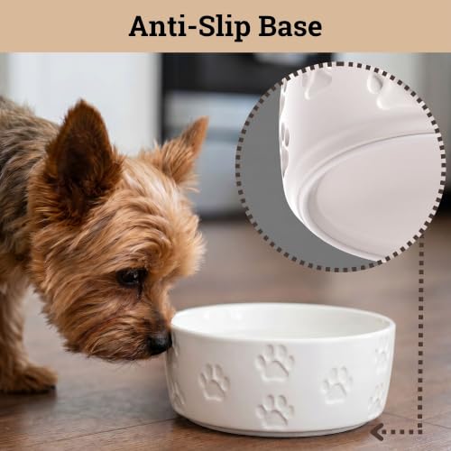 Ceramic Dog Bowl Set of 2 with Anti-Skid Base, 5.5"W x 2"H, 2 Cup Capacity | Thick Ceramic, Dishwasher Safe, Anti-Skid Rubber Base, 2 Cups per Bowl, Ceramic Food and Water Bowls Set of 2 for Small Dogs - color: White, size: Small