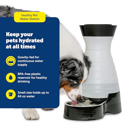 PetSafe Healthy Pet Water Station, 64 oz, Stainless Steel Bowl, Small | Gravity-Fed Pet Water Fountain Keeps Cats or Small Dogs Hydrated, Stainless Steel Bowl Is Dishwasher Safe - size: Small