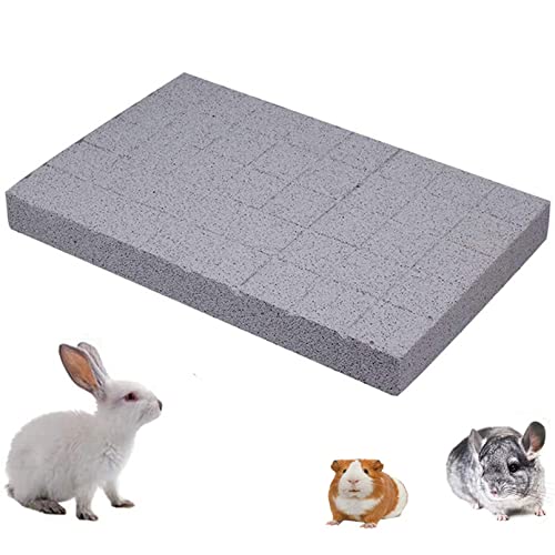 Hamiledyi Rabbit Scratch Foot Pads Bunny Grinding Claw Pad 1 PCS Natural Small Animal Hamster Lava Stone for Teeth Grinding Rabbit Scratching pad Chew Toy for Guinea Pig Rat Gerbil Chinchilla Hedgehog - color: White-1PCS
