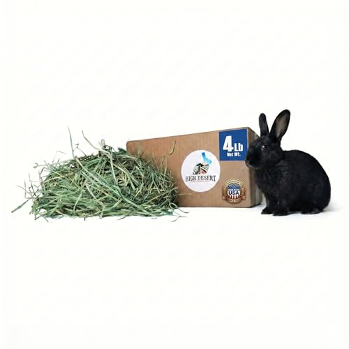 High Desert Orchard Grass Hay for Rabbits, Guinea Pigs, Chinchillas, 4 lb | Soft Leaf Low Protein Forage, Ideal For Adult Or Overweight Pets, Great Alfalfa Alternative, Hand Packed in the USA, Low Dust