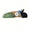 High Desert Orchard Grass Hay for Rabbits, Guinea Pigs, Chinchillas, 4 lb | Soft Leaf Low Protein Forage, Ideal For Adult Or Overweight Pets, Great Alfalfa Alternative, Hand Packed in the USA, Low Dust