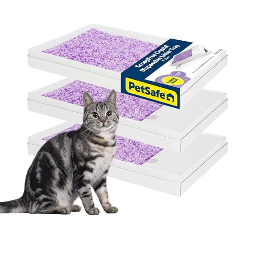 PetSafe ScoopFree Crystal Litter Tray Refills – Lavender Crystals, 3-Pack – Disposable Tray – Includes Leak Protection & Low Tracking Litter – Absorbs Odors on Contact - size: 3-Pack