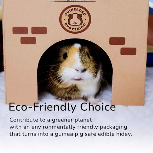 GuineaDad Pee Pads for Guinea Pigs & Bunnies – Ultra Absorbent Small Animal Pet Liners – Washable Guinea Pig Pee Pads for Cage – Eco-Friendly, Soft Fleece, Leak Protection (Pee Pads (5 Pack)) - size: Pee Pads (5 Pack)