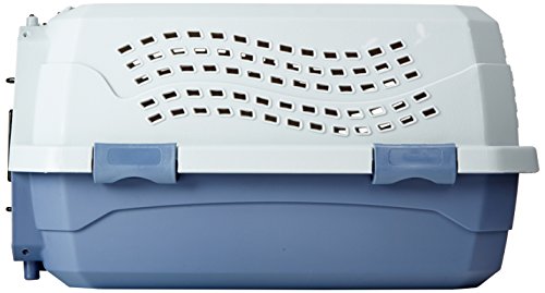 Amazon Basics 2-Door Top-Load Hard-Sided Pet Travel Carrier for Cats and Small Dogs, 19" L x 12.6" W x 10" H, Gray & Blue - color: Gray & Blue, size: 19.0"L x 12.6"W x 10.0"H