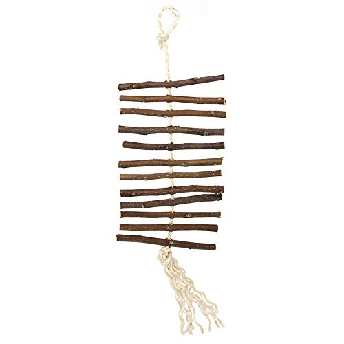 Oxbow Enriched Life Apple Stick Dangly, Rabbit Toys, Guinea Pig Toys, Enrichment for Bunny, Guinea Pig, Hamster, Rabbit, Chinchilla, Rat, Chinchilla Cage Accessories, Small Pet Accessories for Cage - size: 1 Count (Pack of 2)