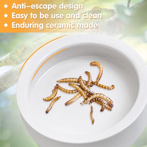 Tfwadmx 4 Pack Reptile Food Bowl, Mini Ceramic Water Feeder Bowl, Reptile Worm Feeding Dish for Lizard Turtle Bearded Dragon Anoles Crested Gecko Hermit Crab Leopard Gecko Chameleon Corn Snake - size: 4 Pcs 2.7 '' x 0.8 ''