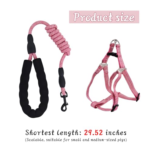YeeBeny Mini Pig Harness Adjustable with Leash Foam Handle Pink, M | Adjustable Small Pig Harness with Leash Infinity Style Lead and Soft Foam Handle for Walking Training Jogging - color: Pink, size: M