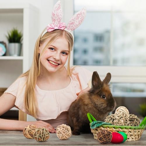 17 Pcs Bunny Chew Grass Balls, Hangable Natural Handmade Enrichment Toys for Teeth Grinding, Enrichment Treats for Rodents Rabbits Guinea Pigs Chinchillas Hamsters Mice, Rolling Chew Toys (2.4")