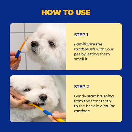 PETHROOM Pet Toothbrush for Cats & Dogs, 10 × 5 mm Small Head (Extra Small) | Ultra-Soft Fine Bristles Gently Clean Teeth and Gumlines, Helping Remove Plaque, Ideal for Kittens & Small Dogs - color: Extra Small