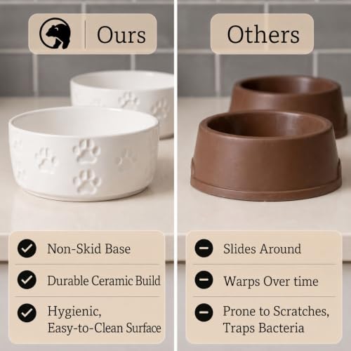 Ceramic Dog Bowl Set of 2 with Anti-Skid Base, 5.5"W x 2"H, 2 Cup Capacity | Thick Ceramic, Dishwasher Safe, Anti-Skid Rubber Base, 2 Cups per Bowl, Ceramic Food and Water Bowls Set of 2 for Small Dogs - color: White, size: Small