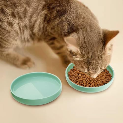Ceramic Cat Bowls,Shallow Cat Dishes for Food and Water, 6 inch Matte Finish Wide Cat Food Bowl,Whisker Fatigue Free Pet Puppy Kitten Bowl Set of 3,Dishwasher Safe - color: Mint green