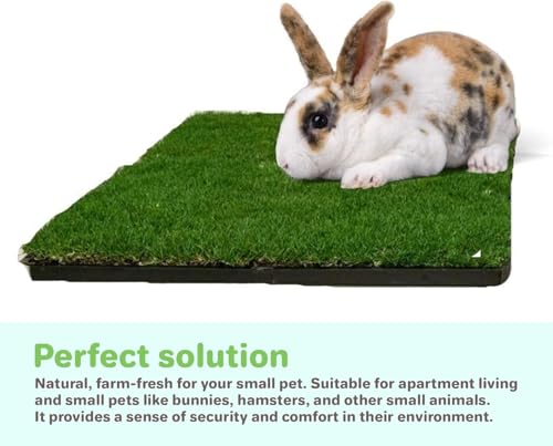Gotta Go Grass for Small Animals – Natural Real Grass Bedding & Pet Resting Pad,Grass Potty Pad for Rabbits, Guinea Pigs, Hamsters, & Small Pets, Odor Absorbent Grass Mat (With Tray 2-Pack 16" x 24") - size: With Tray 2- Pack