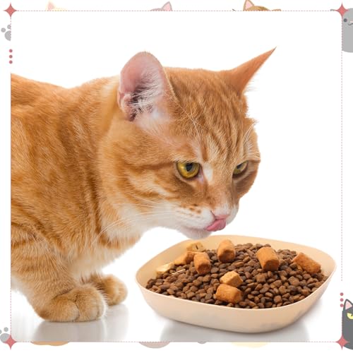 Tioncy 24 Pcs Fatigue Relief Cat Bowl 5.7 Inch Shallow Cat Food Dish Wide and Small Pet Wet Feeding Bowl for Kitten Short Legged Kitten Ferrets Feral Small Animals(Pink, Beige,Classic) - color: Pink, Beige, style: Classic