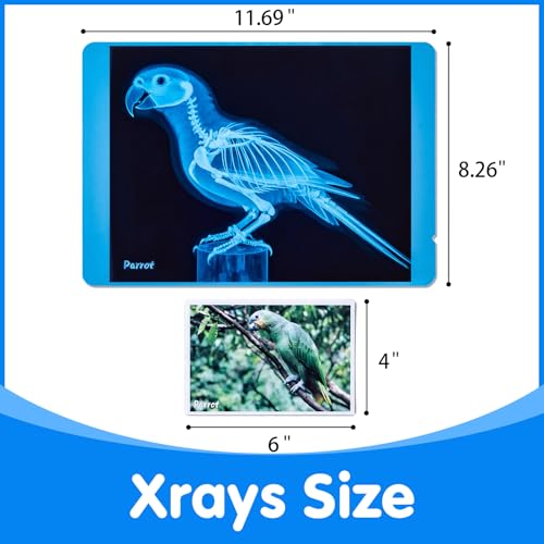 Pet Series Animal Xrays for Kids - Light Table Manipulatives | Veterinarian Play Set & Dramatic Play Vet Clinic - style: Pet Series