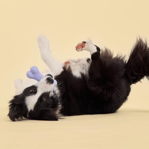 Playology Dual Layer Bone Dog Chew Toy - Jumbo, Lamb Scent | Rubber Construction, All Natural Scent, Heavy Duty Design - size: Jumbo, style: Lamb