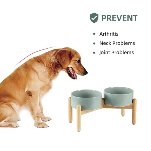 Havniva Elevated Dog Bowls Ceramic Dog Bowls with Stand, Dog Food Bowl | 7.3” Raised Dog Bowls with Non-Slip Wood Stand, Dog Food and Water Bowl Set, Double Dog Feeding Bowls for Medium Dogs - color: 2 Bowls+Stand - Light Green, size: 7.3inch