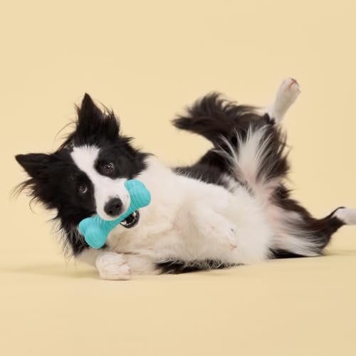 Playology Dual Layer Bone Dog Chew Toy - Jumbo, Peanut Butter Scent | Rubber Construction, All Natural Scent, Heavy Duty Design - size: Jumbo, style: Peanut Butter