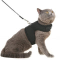 PUPTECK Soft Mesh Cat Vest Harness and Leash Set Puppy Padded Pet Harnesses Escape Proof for Cats Small Dogs Rabbits Bunny, Black Large - color: Black, size: L(NECK 8.5"-10.5", CHEST 12.5"-15", 6-10 lbs)