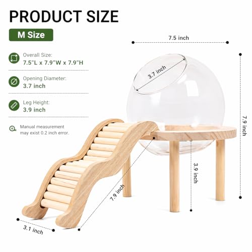 Hamster Bath Container with Clear Dome, Anti-Scatter Dust Box for Dwarf Hamsters, Syrian Hamsters & Gerbils, Easy-Entry Small Pet House (Medium) | Sand bath for hamsters, anti-scatter clear dome, curved ladder, scoop included for dwarf, Syrian hamsters an