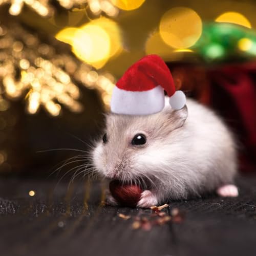 5 Pcs Hamster Set Chew Toys Tree Wooden Seesaw Habitat Décor Cloth Christmas Hat for Small Animal Chinchillas, Bunny,Mice,Rats,Mouse (Christmas Set)
