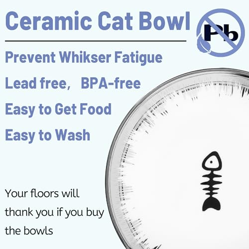 Cat Bowls, Elevated Bowl, Raised Ceramic Dish with Metal Stand, Pet Water or Food Feeding Station for Indoor Cats, Kitten,Dishwash Safe - color: Glossy Sliver