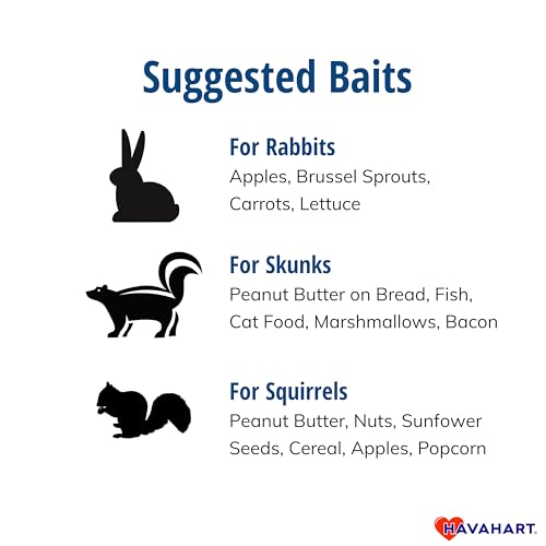 Havahart Medium 1-Door Live Animal Trap, Galvanized Steel Cage | Humane Catch and Release for Rabbit, Skunk, Mink, and Squirrel, Spring-Loaded Door, 1078SR
