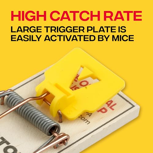 Victor Mouse Traps, 12-Pack Plastic Pedal Snap Traps, FSC Certified Wood | Indoor Rodent Control Reusable Mousetraps for Mice Pest Control Effective Instant Kill - style: 12 Plastic Pedal Traps
