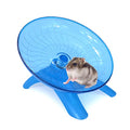 Hamster Wheel Hamster Flying Saucer Silent Exercise Wheel Running Wheel for Dwarf Hamsters Gerbil Mice Small Animals (Blue) - color: Blue