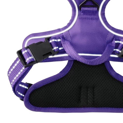 Pet Passion MAX - THE Hardy Reflective Harness, Purple, X-Small - color: PURPLE, size: X-Small (5-12 lbs)