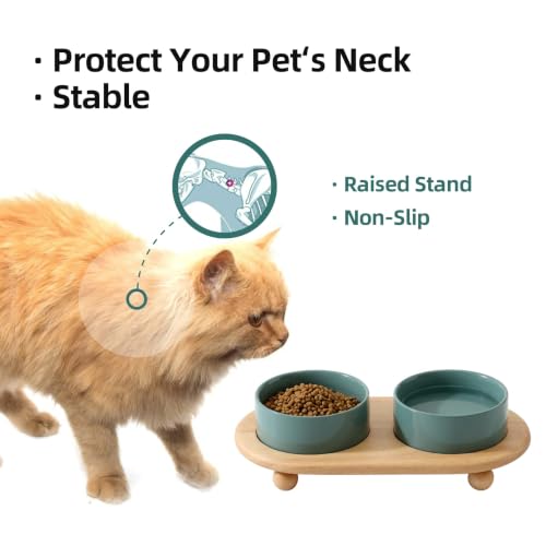 Havniva Raised Cat Bowl 5.1” Elevated Ceramic Cat Food and Water Bowl Set | Cat Bowls Elevated, Whisker Friendly Cat Bowl, Non-Slip Wood Stand, Food-Grade Ceramic, Wide Opening, Dishwasher Safe - color: Dark Green, size: 5.1inch - 2 Bowls+Stand