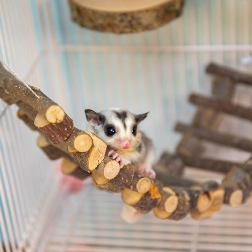 FLAdorepet 5Pcs Wood Sugar Glider Cage Accessories Small Pet Climb Chew Toy | Included Swing Ladder and 3 Platforms;Natural Apple Wood;Easy Cage Installation,Chewing Climbing Toys for Sugar Gliders Bird