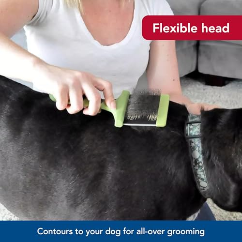 Coastal Pet Safari Dog Flexible Slicker Brush - Dog Brush for Shedding - Undercoat Rake & Grooming Tools for Small & Medium Pets - Small - size: Small