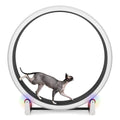 One Fast Cat - Cat Exercise Wheel - Made in the USA - 48" Diameter - Gen. 7 | White with Black Felt Traction Pads and Light-Up LED Inline Wheels - color: White Wheel / Black Felt / LED Inline