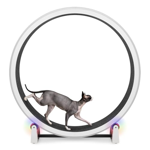 One Fast Cat - Cat Exercise Wheel - Made in the USA - 48" Diameter - Gen. 7 | White with Black Felt Traction Pads and Light-Up LED Inline Wheels - color: White Wheel / Black Felt / LED Inline