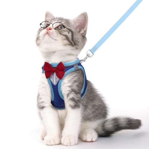 Cat Vest Harness and Leash Set, Escape Proof Kitten Harness Blue M | Safe Reflective Strips, Adjustable Easy Wear Kitty Harness, Sturdy Clip Buckle, Breathable Mesh , for Kitty Puppy Bunny Walks - color: Blue, size: M
