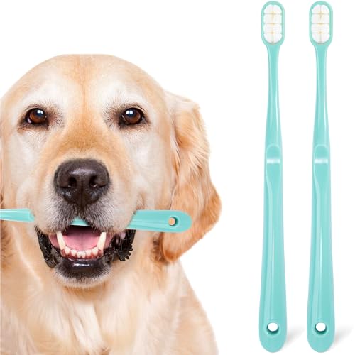 Dog Toothbrush Kit 2 Pack, Ultra Soft Pet Tooth Brush for Medium to Large Dogs & Cats, Easy Dental Cleaning - style: Medium to large dog(2pcs, green)