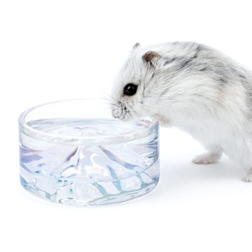Niteangel Hamster Feeding & Water Bowl- 50ml Capacity & No Wet Fur for Pet | Chew Proof - Mount Fuji Series Glass Drinking Bowls for Dwarf Syrian Hamsters Gerbils Mice Rats or Other Similar-Sized Pets