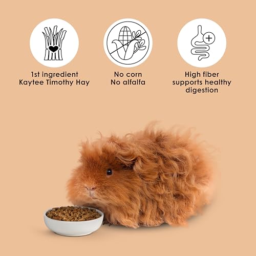 Kaytee Timothy Complete Guinea Pig Food, Made with Timothy Hay, High in Fiber, Supports Dental Health and Digestion, Long-lasting Vitamin C, 9.5 pounds - size: 9.5 Pound (Pack of 1)