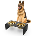 DBL2001B Keaton 7.5" Medium/Large Modern Lucite Rectangular Elevated Pet Feeder with 54oz 2-Stainless Steel Bowls, Black/Gold - color: Black/Gold, size: 54 Ounces (7.5" Cups 2-Pack)