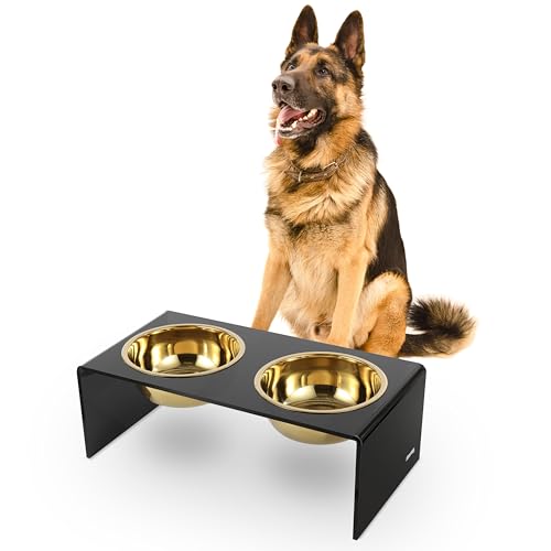 DBL2001B Keaton 7.5" Medium/Large Modern Lucite Rectangular Elevated Pet Feeder with 54oz 2-Stainless Steel Bowls, Black/Gold - color: Black/Gold, size: 54 Ounces (7.5" Cups 2-Pack)