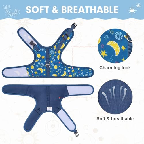 BINGPET Cat Harness and Leash Set, Escape Proof and Adjustable, Small | Step-in Vest, Lightweight Soft Breathable Mesh, Hook & Loop, Easy Control for Kittens & Small Cats Walking Travel - color: Galaxy, size: Small