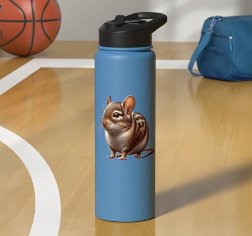 Degu Design Stainless Steel Insulated Water Bottle - color: Light Blue