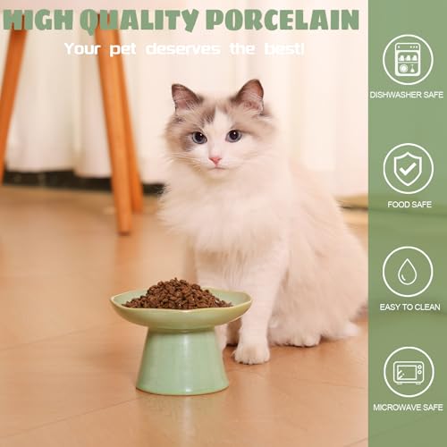 Wide Shallow 6.1" Raised Cat Bowls, Ceramic Elevated Food Bowl for Flat Faced Cats and Small Dogs, Porcelain Feeder Bowl, Stress Free, Protect Cat’s Spine, Green - color: Green-Shallow