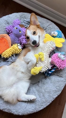 Nocciola 5 Packs Squeaky Dog Toy Plushies, Cute Soft Squeak Crinkle Plush Stuffed Durable Pet Animal Chew Puppy Toys for Small Meidum Large Breed - style: Bundle