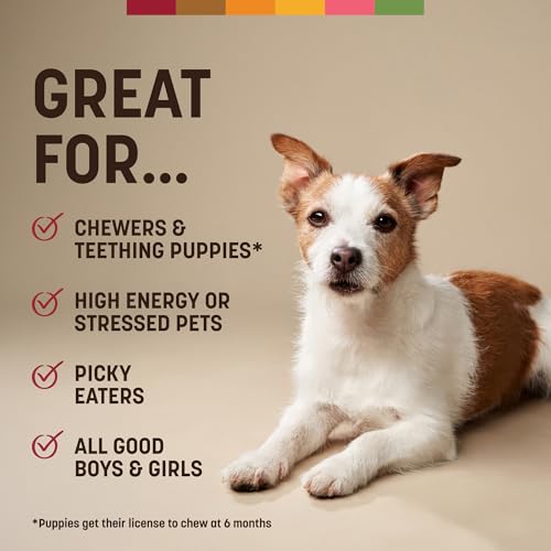 Earth Animal No Hide Dog Chews - Rawhide Free Small Rolls 6 Count Beef | Small Rolls Beef Flavored Natural Rawhide Free Long Lasting Dog Chews - Pet Treats for Small Dogs - size: 6 Count (Pack of 1)