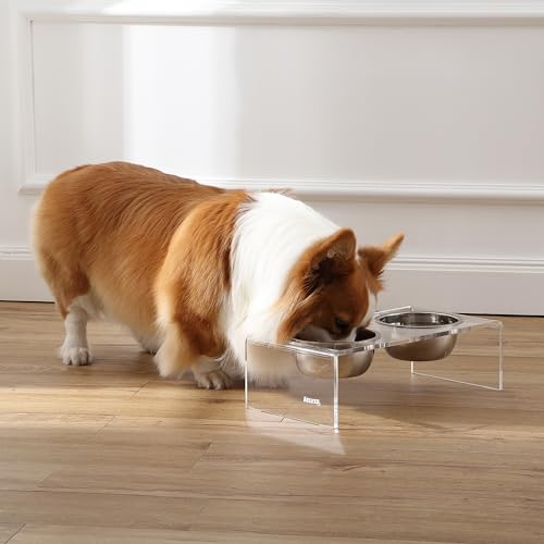 DBL2000A Keaton 5" Small/Medium Modern Lucite Rectangular Elevated Pet Feeder with 20oz 2-Stainless Steel Bowls, Clear/Chrome - color: Clear/Chrome, size: 20 Ounces (5" Cups 2-Pack)